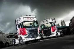hicks 1 1